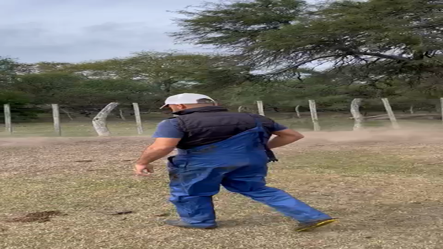 Lote 60 Vacas nuevas C/ gtia de preñez en Entre Ríos, La Paz