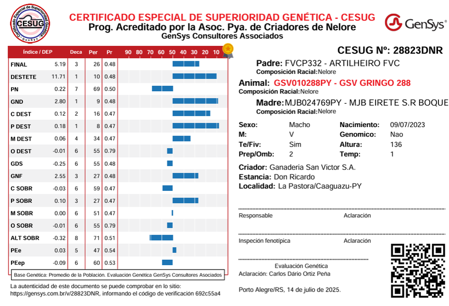 Lote LOTE 50