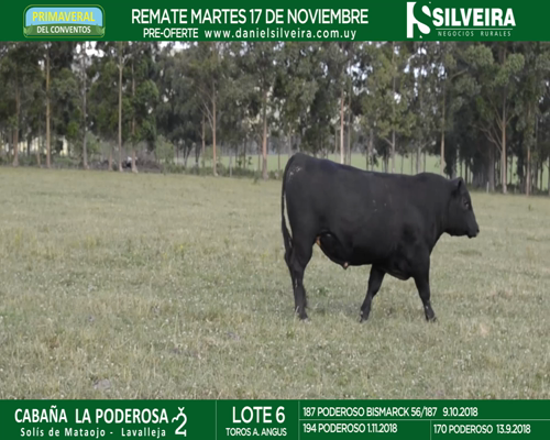 Lote Cabaña La Poderosa