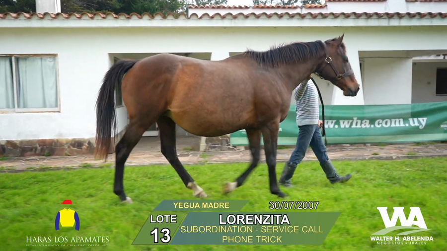 Lote LORENZITA