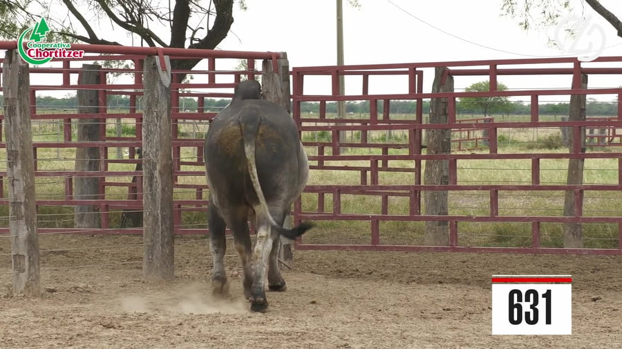 Lote Brahman