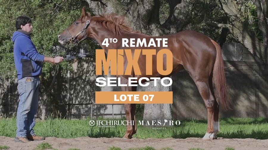 Lote REPLICADOR