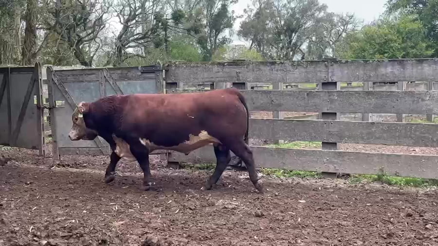Lote Las Varges RP 289
