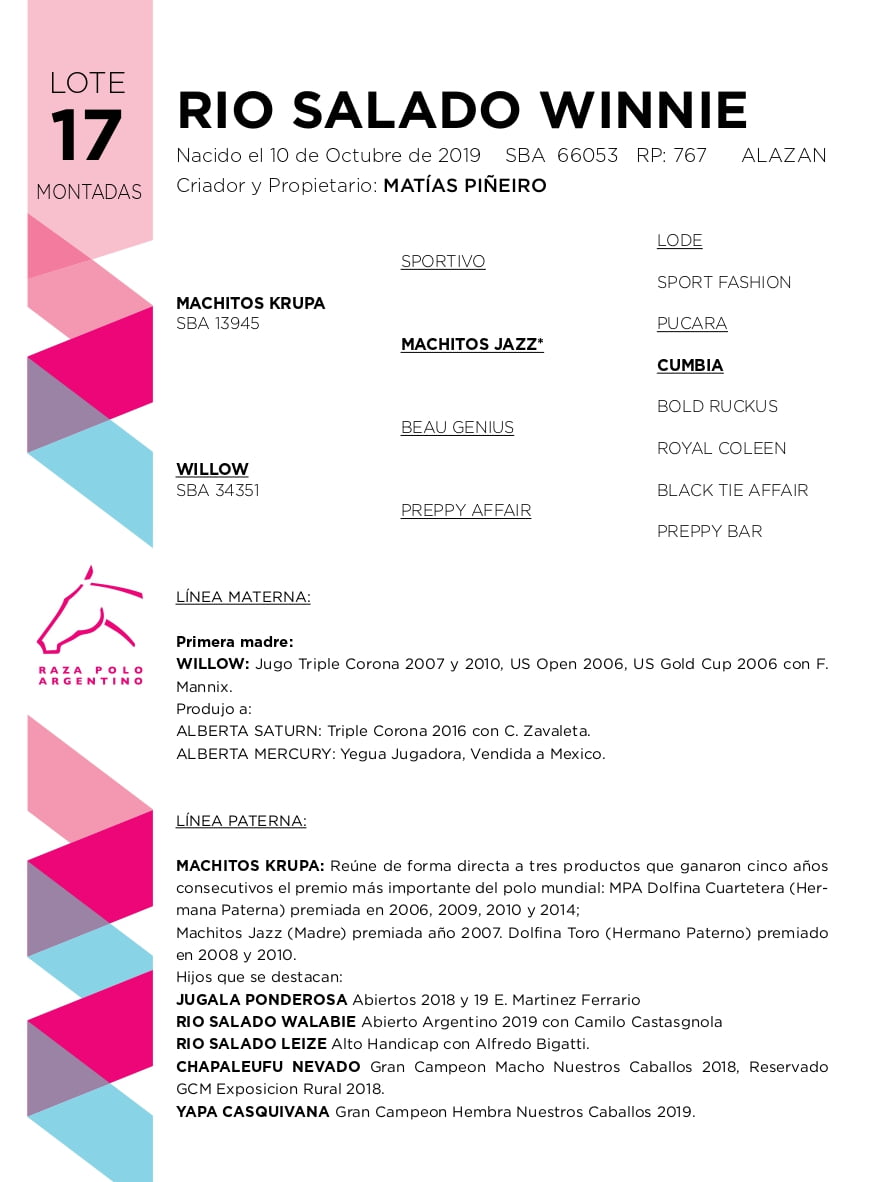 Lote RIO SALADO WINNIE (MACHITOS KRUPA - WILLOW)