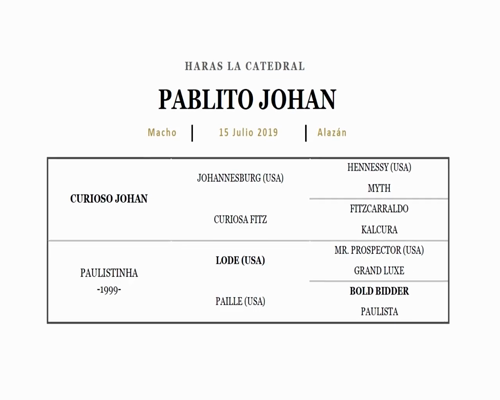 Lote PABLITO JOHAN (CURIOSO JOHAN - PAULISTINHA)