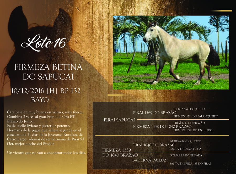 Lote RP 132 - FIRMEZA BETINA DO SAPUCAI