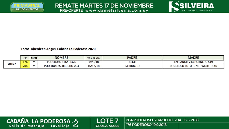 Lote Cabaña La Poderosa