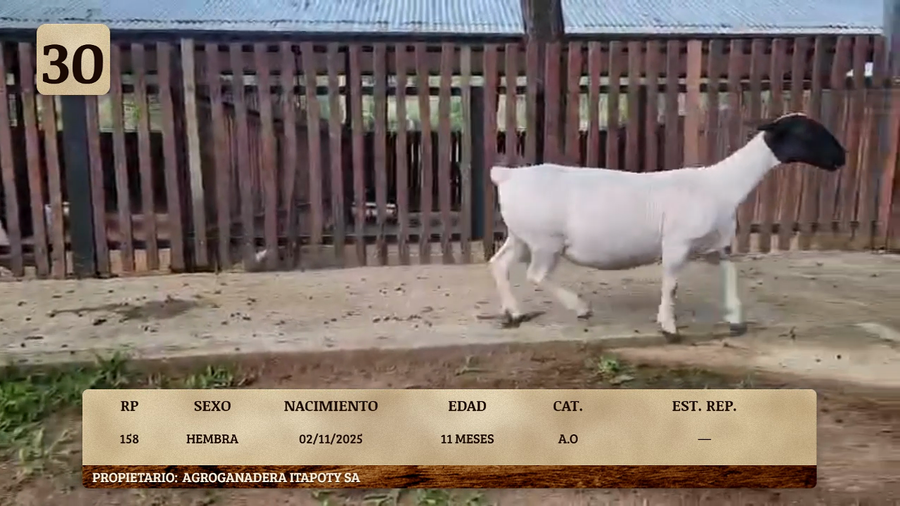 Lote LOTE 30
