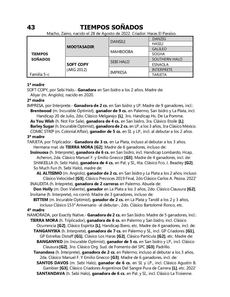 Lote TIEMPOS SOÑADOS