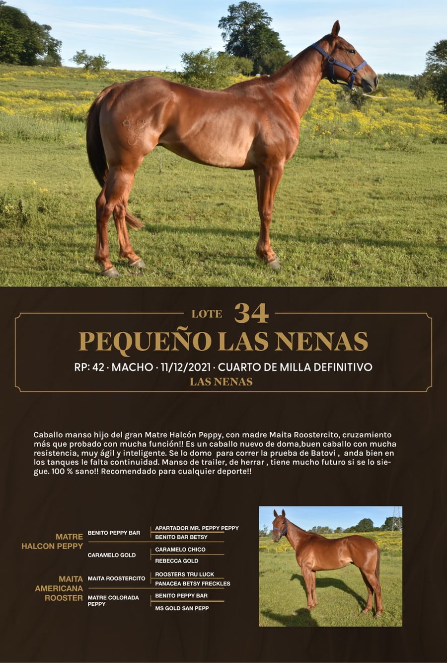 Lote Pequeño Las Nenas