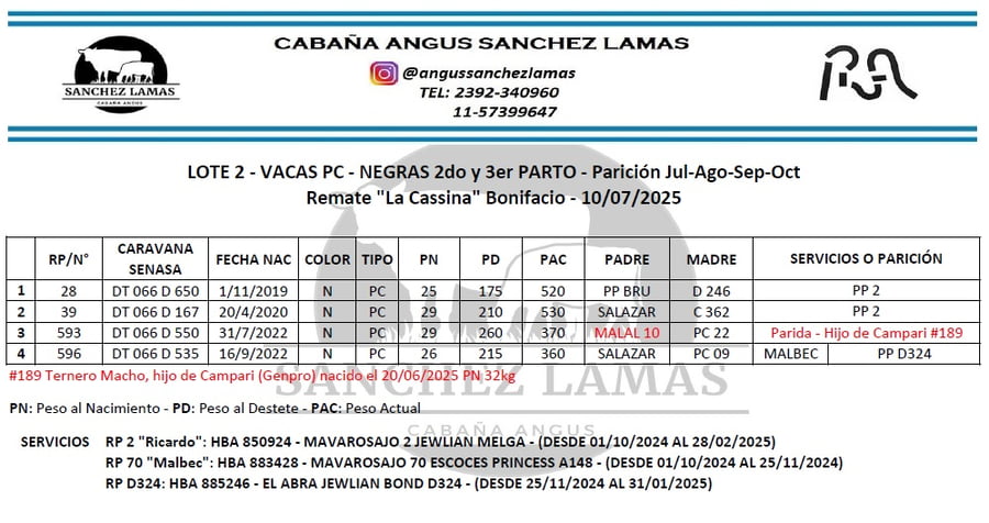 Lote VACAS PC