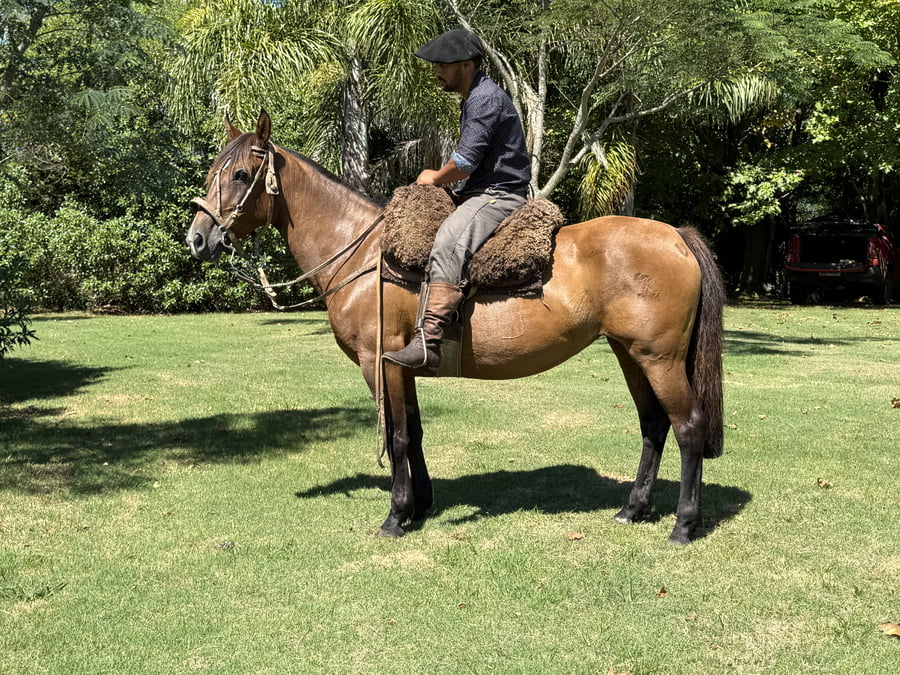 Lote DEL PASO ANACAHUITA