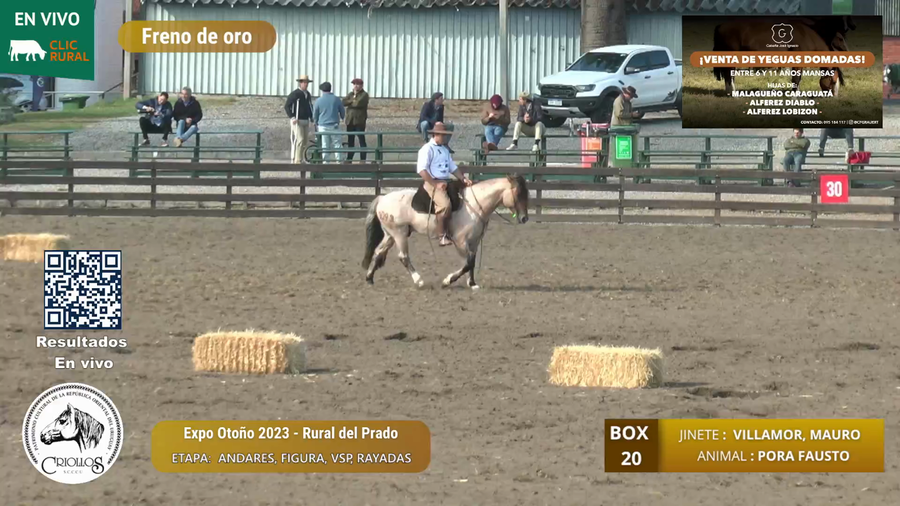 Lote PORA FAUSTO - PARIETTI HENDERSON, CARLOS