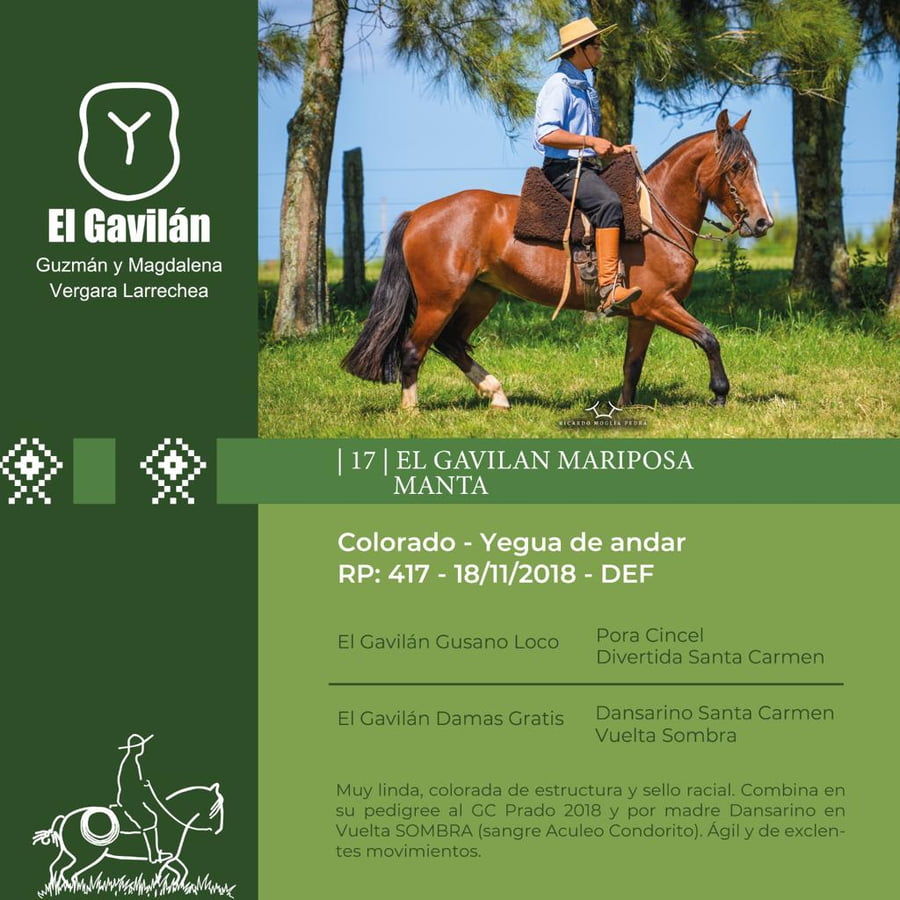 Lote El Gavilán Mariposa Manta (RP 417) Cabaña "El Gavilán"