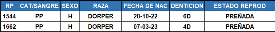 Lote LOTE 36