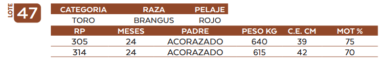 Lote LOTE 47