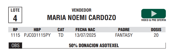 Lote LOTE 4