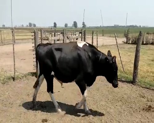 Lote El Chingolo RP 504