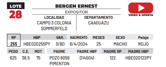 Lote LOTE 28 -DE CAMPO