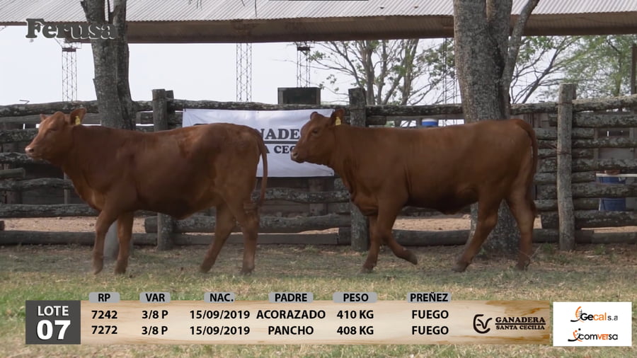 Lote Ganadera Santa Cecilia - Lote 7