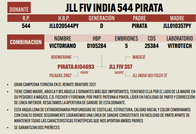 Lote LOTE 10