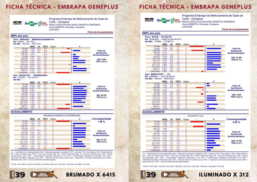 Lote LOTE 39