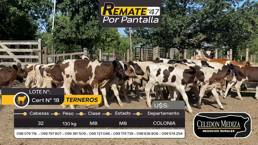 Lote 32 Terneros en Otra Localidad, Colonia