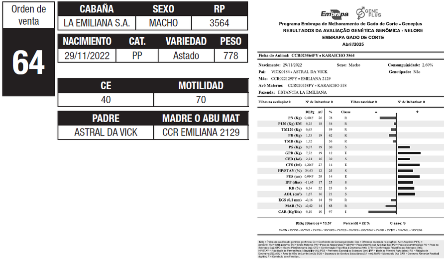 Lote LOTE 64