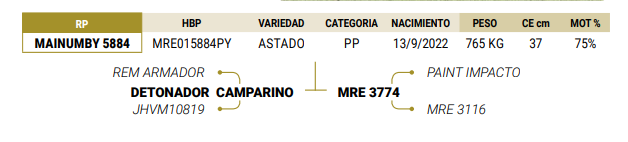Lote LOTE 72
