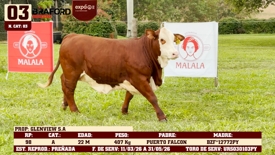 Lote LOTE 3