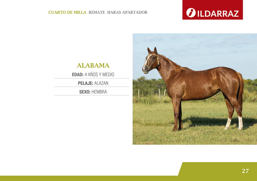 Lote ALABAMA