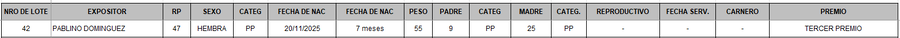 Lote LOTE 42 - BOZAL
