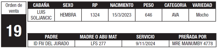 Lote LOTE 19