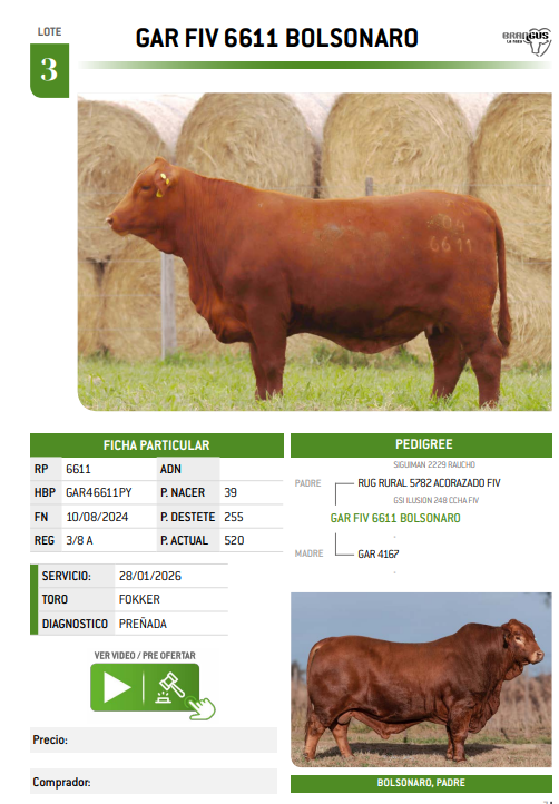 Lote LOTE 3