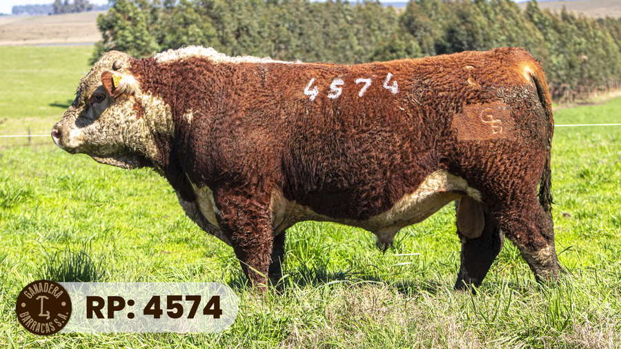 Lote RP 4574