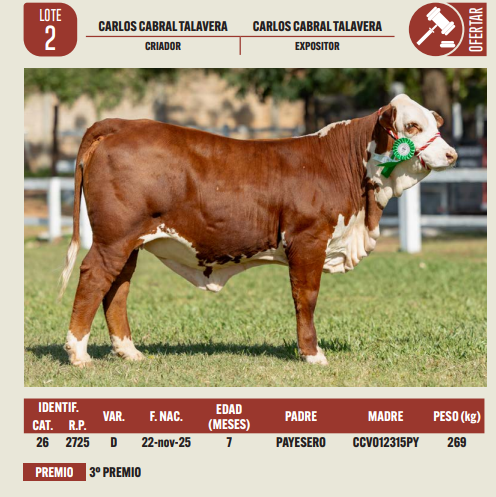 Lote LOTE 2