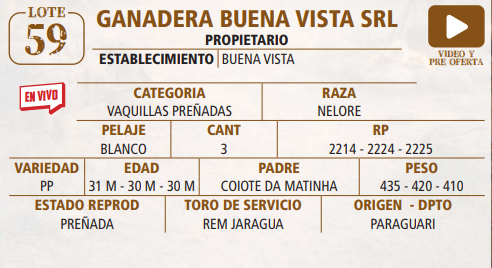 Lote LOTE 59 -EN VIVO