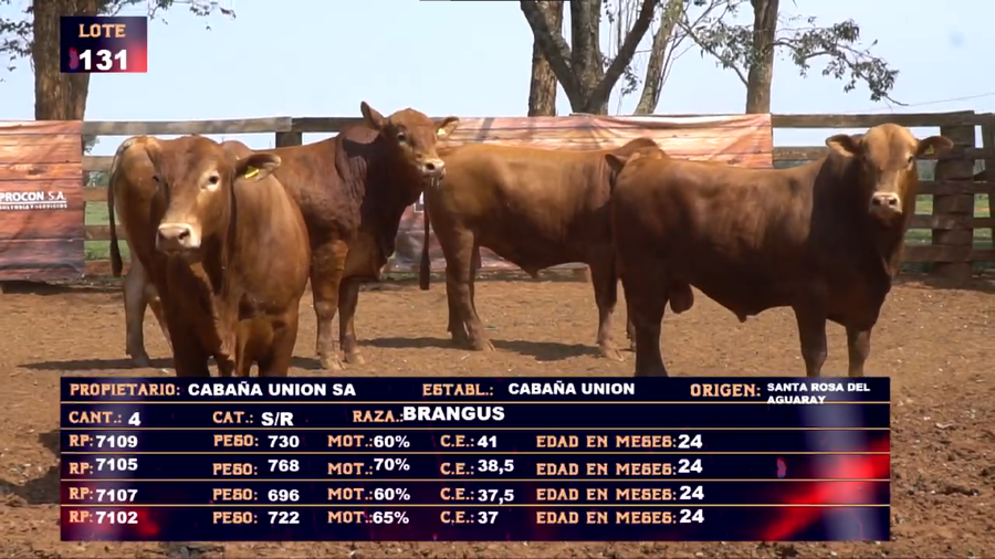 Lote CABAÑA UNION  SA- LOTE  131