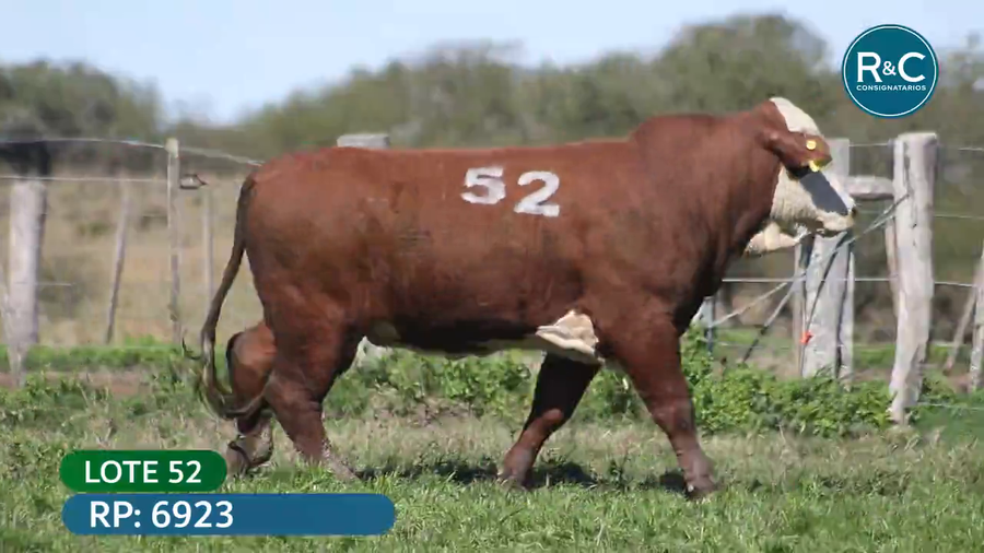 Lote Toros señal 22