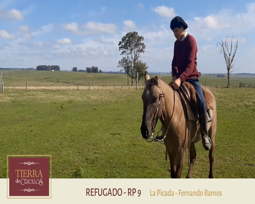Lote Refugado (RP ) - Cabaña La Picada