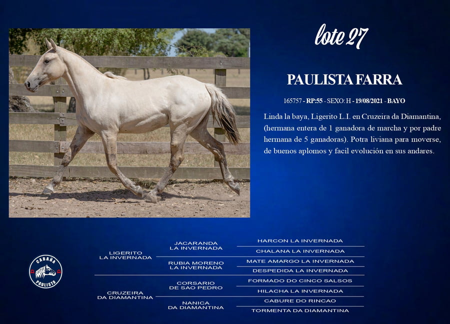Lote Paulista Farra