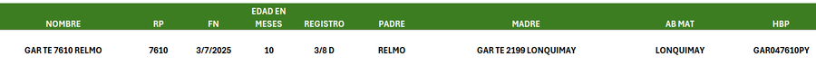 Lote LOTE 5