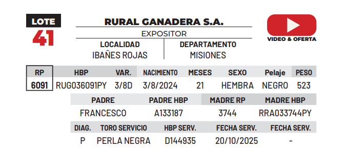 Lote LOTE 41 -DE CAMPO