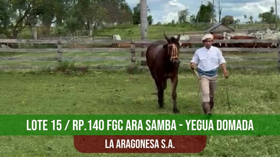 Lote FGC ARA SAMBA