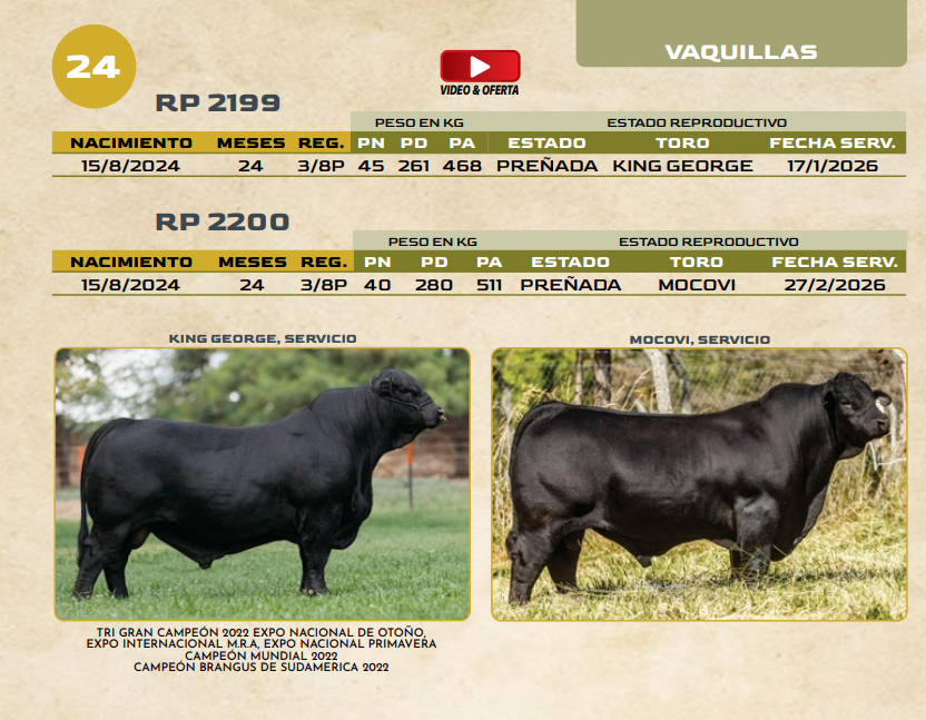 Lote LOTE 24
