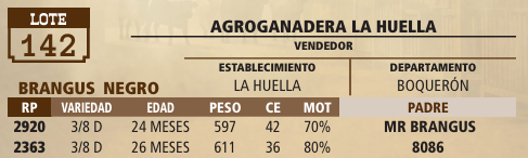 Lote LOTE 142 - VIVO