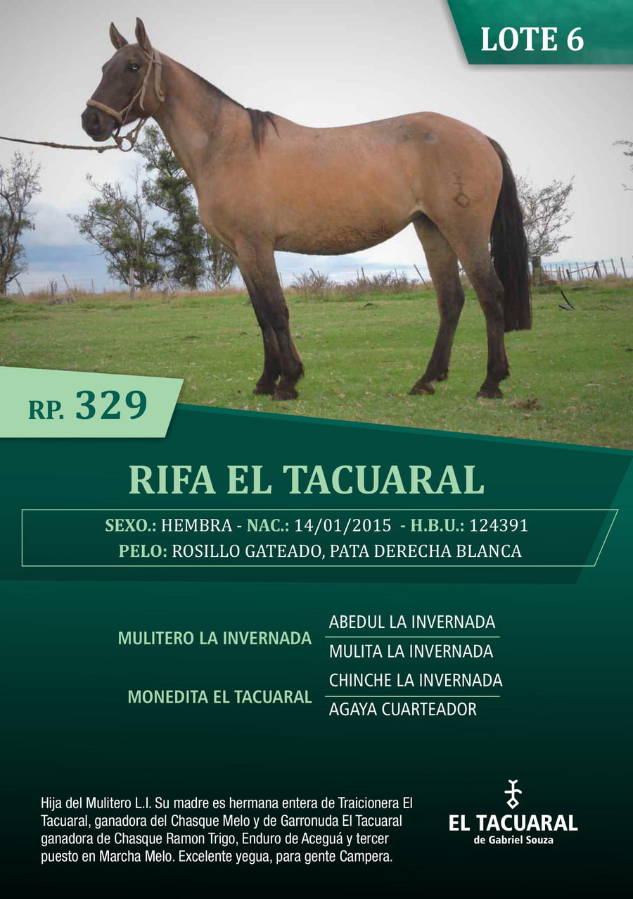 Lote RIFA EL TACUARAL - R.P. 329