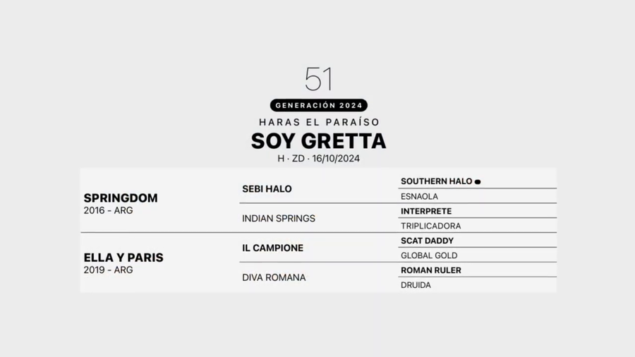 Lote SOY GRETTA