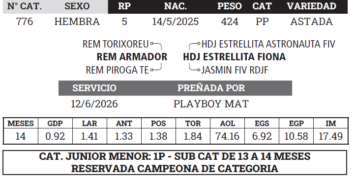Lote LOTE 7 - BOZAL