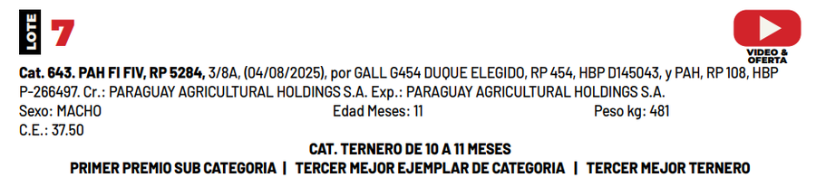 Lote LOTE 7